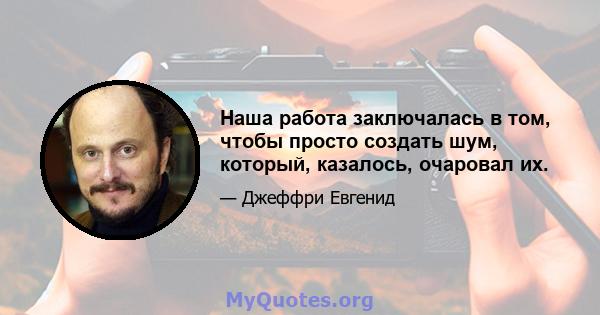 Наша работа заключалась в том, чтобы просто создать шум, который, казалось, очаровал их.