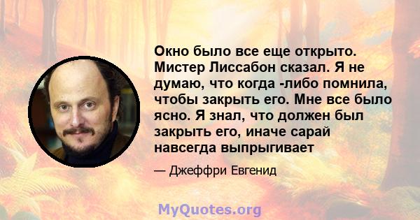 Окно было все еще открыто. Мистер Лиссабон сказал. Я не думаю, что когда -либо помнила, чтобы закрыть его. Мне все было ясно. Я знал, что должен был закрыть его, иначе сарай навсегда выпрыгивает