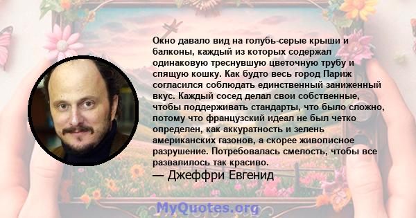 Окно давало вид на голубь-серые крыши и балконы, каждый из которых содержал одинаковую треснувшую цветочную трубу и спящую кошку. Как будто весь город Париж согласился соблюдать единственный заниженный вкус. Каждый