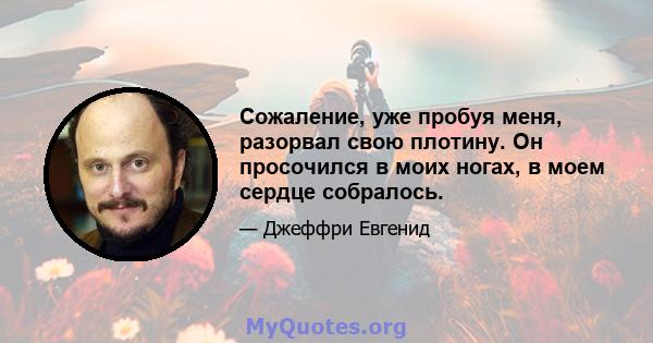 Сожаление, уже пробуя меня, разорвал свою плотину. Он просочился в моих ногах, в моем сердце собралось.