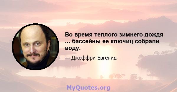 Во время теплого зимнего дождя ... бассейны ее ключиц собрали воду.