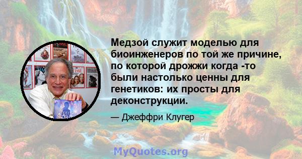 Медзой служит моделью для биоинженеров по той же причине, по которой дрожжи когда -то были настолько ценны для генетиков: их просты для деконструкции.