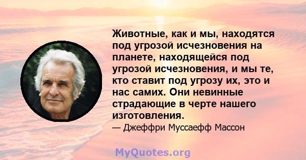 Животные, как и мы, находятся под угрозой исчезновения на планете, находящейся под угрозой исчезновения, и мы те, кто ставит под угрозу их, это и нас самих. Они невинные страдающие в черте нашего изготовления.