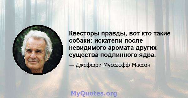 Квесторы правды, вот кто такие собаки; искатели после невидимого аромата других существа подлинного ядра.