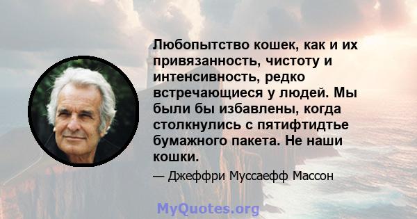 Любопытство кошек, как и их привязанность, чистоту и интенсивность, редко встречающиеся у людей. Мы были бы избавлены, когда столкнулись с пятифтидтье бумажного пакета. Не наши кошки.