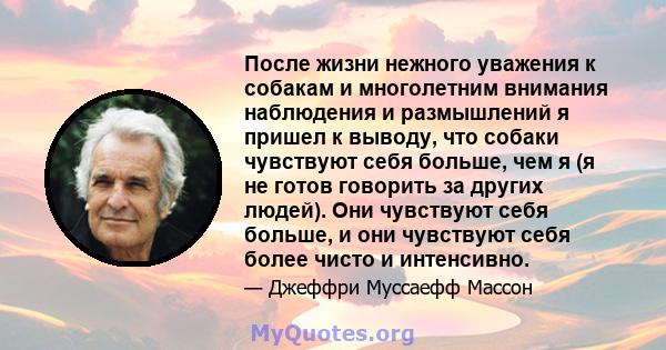 После жизни нежного уважения к собакам и многолетним внимания наблюдения и размышлений я пришел к выводу, что собаки чувствуют себя больше, чем я (я не готов говорить за других людей). Они чувствуют себя больше, и они