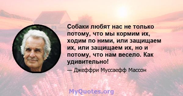 Собаки любят нас не только потому, что мы кормим их, ходим по ними, или защищаем их, или защищаем их, но и потому, что нам весело. Как удивительно!