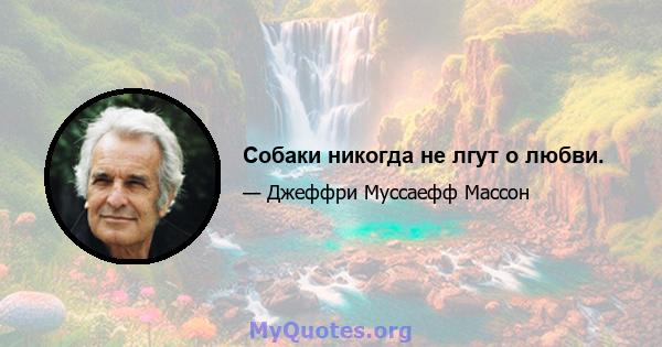 Собаки никогда не лгут о любви.