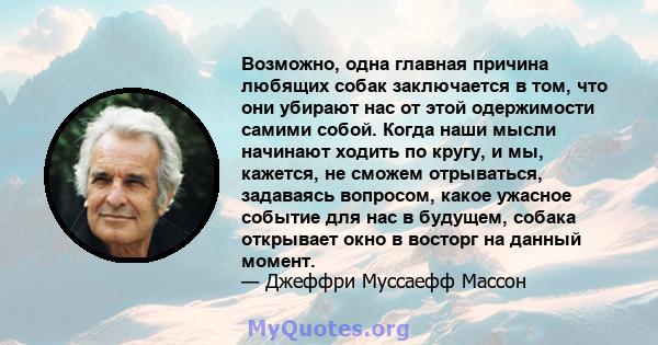 Возможно, одна главная причина любящих собак заключается в том, что они убирают нас от этой одержимости самими собой. Когда наши мысли начинают ходить по кругу, и мы, кажется, не сможем отрываться, задаваясь вопросом,