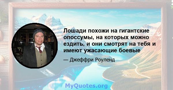 Лошади похожи на гигантские опоссумы, на которых можно ездить, и они смотрят на тебя и имеют ужасающие боевые