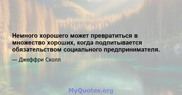 Немного хорошего может превратиться в множество хороших, когда подпитывается обязательством социального предпринимателя.