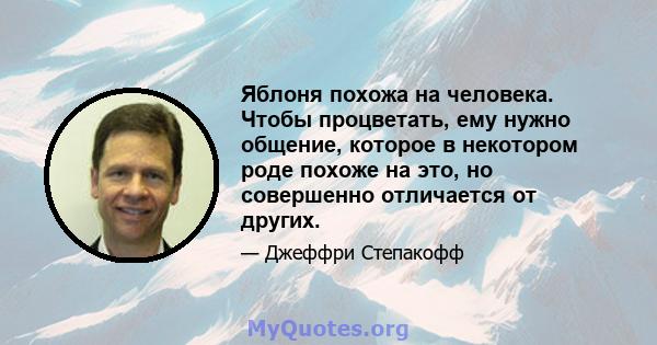 Яблоня похожа на человека. Чтобы процветать, ему нужно общение, которое в некотором роде похоже на это, но совершенно отличается от других.