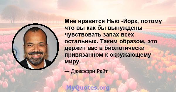 Мне нравится Нью -Йорк, потому что вы как бы вынуждены чувствовать запах всех остальных. Таким образом, это держит вас в биологически привязанном к окружающему миру.