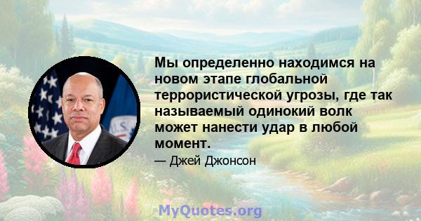 Мы определенно находимся на новом этапе глобальной террористической угрозы, где так называемый одинокий волк может нанести удар в любой момент.