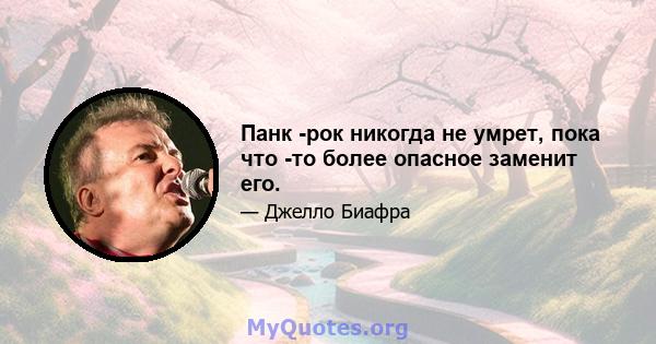 Панк -рок никогда не умрет, пока что -то более опасное заменит его.