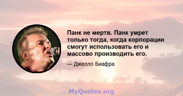 Панк не мертв. Панк умрет только тогда, когда корпорации смогут использовать его и массово производить его.