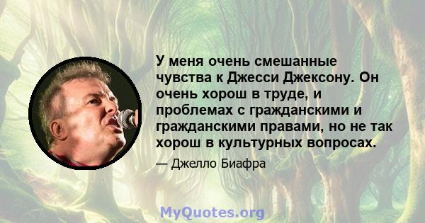 У меня очень смешанные чувства к Джесси Джексону. Он очень хорош в труде, и проблемах с гражданскими и гражданскими правами, но не так хорош в культурных вопросах.