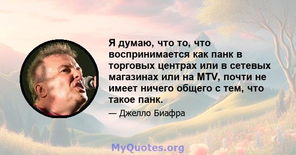 Я думаю, что то, что воспринимается как панк в торговых центрах или в сетевых магазинах или на MTV, почти не имеет ничего общего с тем, что такое панк.