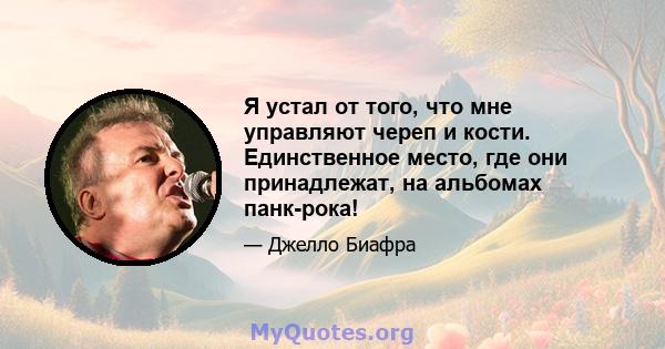 Я устал от того, что мне управляют череп и кости. Единственное место, где они принадлежат, на альбомах панк-рока!