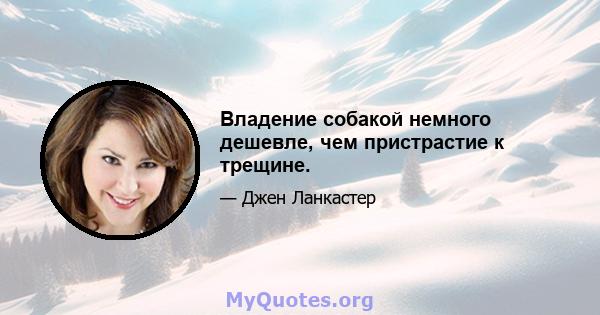 Владение собакой немного дешевле, чем пристрастие к трещине.