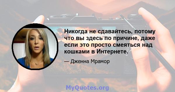 Никогда не сдавайтесь, потому что вы здесь по причине, даже если это просто смеяться над кошками в Интернете.