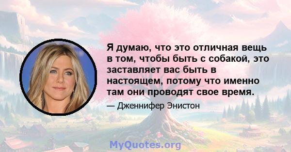 Я думаю, что это отличная вещь в том, чтобы быть с собакой, это заставляет вас быть в настоящем, потому что именно там они проводят свое время.