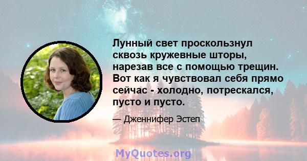 Лунный свет проскользнул сквозь кружевные шторы, нарезав все с помощью трещин. Вот как я чувствовал себя прямо сейчас - холодно, потрескался, пусто и пусто.