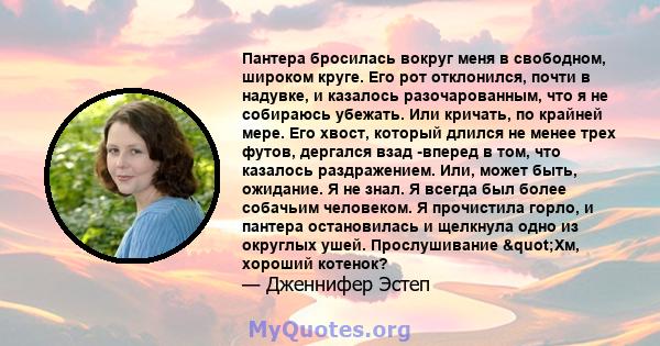 Пантера бросилась вокруг меня в свободном, широком круге. Его рот отклонился, почти в надувке, и казалось разочарованным, что я не собираюсь убежать. Или кричать, по крайней мере. Его хвост, который длился не менее трех 