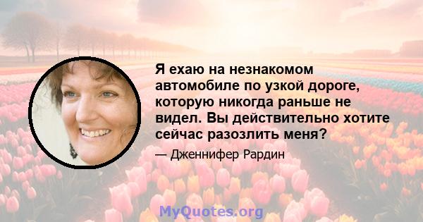 Я ехаю на незнакомом автомобиле по узкой дороге, которую никогда раньше не видел. Вы действительно хотите сейчас разозлить меня?