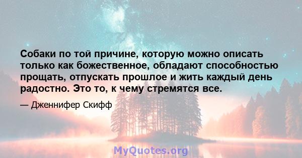 Собаки по той причине, которую можно описать только как божественное, обладают способностью прощать, отпускать прошлое и жить каждый день радостно. Это то, к чему стремятся все.