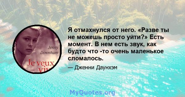 Я отмахнулся от него. «Разве ты не можешь просто уйти?» Есть момент. В нем есть звук, как будто что -то очень маленькое сломалось.