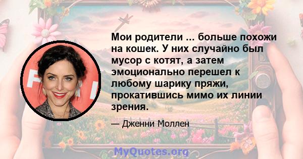 Мои родители ... больше похожи на кошек. У них случайно был мусор с котят, а затем эмоционально перешел к любому шарику пряжи, прокатившись мимо их линии зрения.