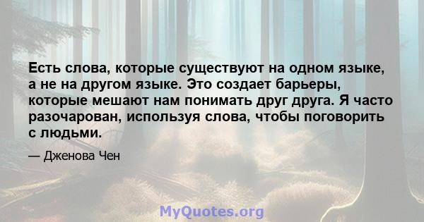 Есть слова, которые существуют на одном языке, а не на другом языке. Это создает барьеры, которые мешают нам понимать друг друга. Я часто разочарован, используя слова, чтобы поговорить с людьми.