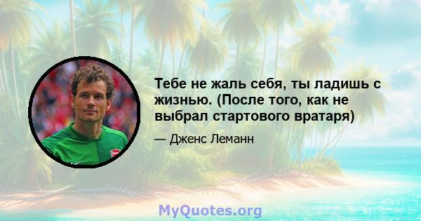 Тебе не жаль себя, ты ладишь с жизнью. (После того, как не выбрал стартового вратаря)