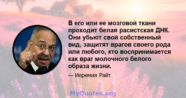 В его или ее мозговой ткани проходит белая расистская ДНК. Они убьют свой собственный вид, защитят врагов своего рода или любого, кто воспринимается как враг молочного белого образа жизни.