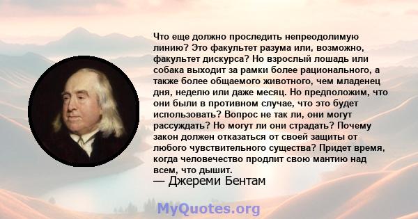 Что еще должно проследить непреодолимую линию? Это факультет разума или, возможно, факультет дискурса? Но взрослый лошадь или собака выходит за рамки более рационального, а также более общаемого животного, чем младенец