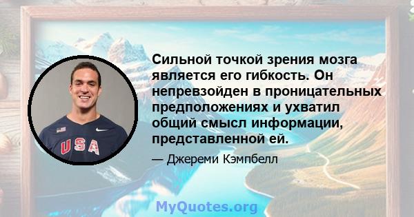 Сильной точкой зрения мозга является его гибкость. Он непревзойден в проницательных предположениях и ухватил общий смысл информации, представленной ей.