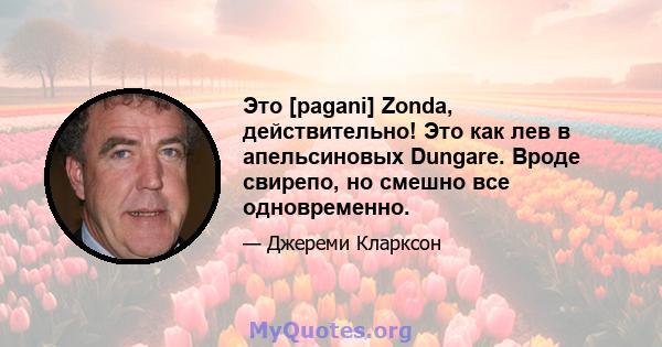 Это [pagani] Zonda, действительно! Это как лев в апельсиновых Dungare. Вроде свирепо, но смешно все одновременно.