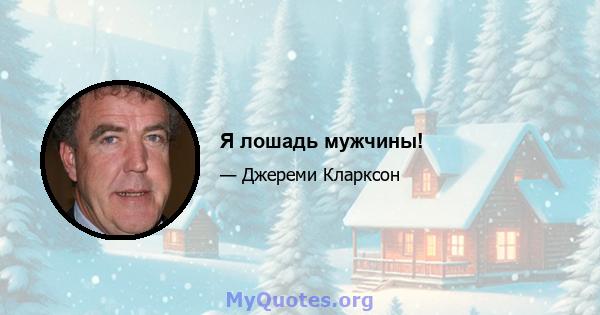 Я лошадь мужчины!