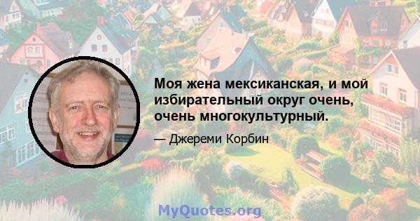 Моя жена мексиканская, и мой избирательный округ очень, очень многокультурный.