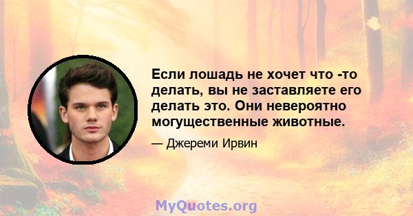 Если лошадь не хочет что -то делать, вы не заставляете его делать это. Они невероятно могущественные животные.