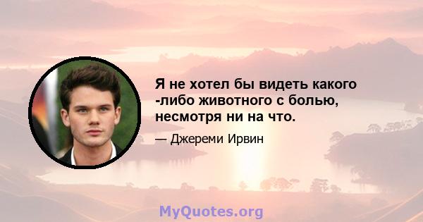 Я не хотел бы видеть какого -либо животного с болью, несмотря ни на что.