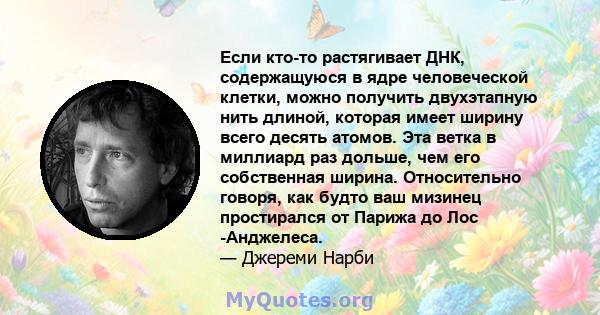 Если кто-то растягивает ДНК, содержащуюся в ядре человеческой клетки, можно получить двухэтапную нить длиной, которая имеет ширину всего десять атомов. Эта ветка в миллиард раз дольше, чем его собственная ширина.