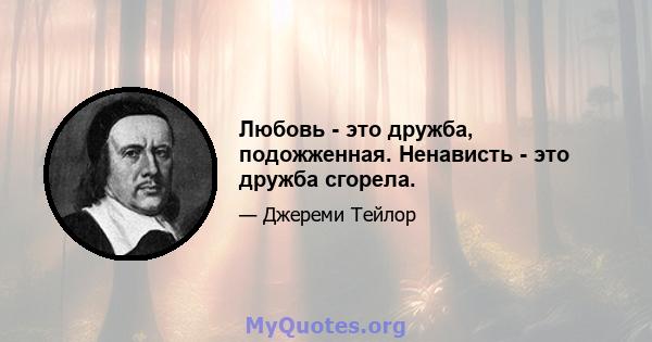 Любовь - это дружба, подожженная. Ненависть - это дружба сгорела.