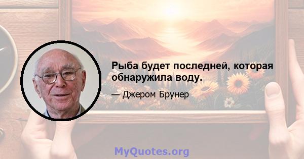 Рыба будет последней, которая обнаружила воду.