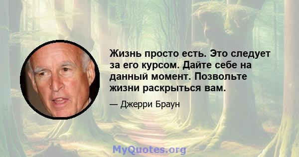 Жизнь просто есть. Это следует за его курсом. Дайте себе на данный момент. Позвольте жизни раскрыться вам.