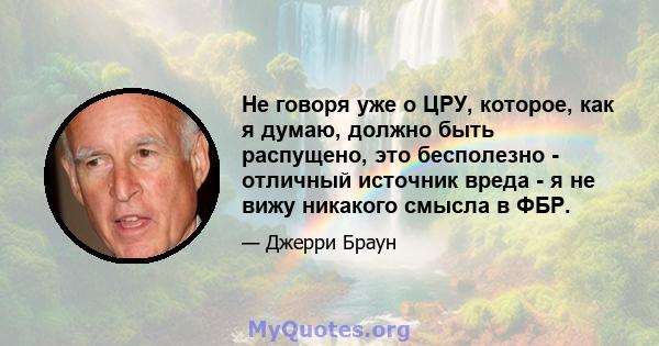 Не говоря уже о ЦРУ, которое, как я думаю, должно быть распущено, это бесполезно - отличный источник вреда - я не вижу никакого смысла в ФБР.