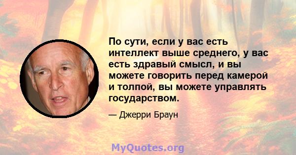 По сути, если у вас есть интеллект выше среднего, у вас есть здравый смысл, и вы можете говорить перед камерой и толпой, вы можете управлять государством.