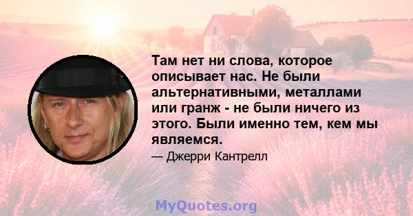 Там нет ни слова, которое описывает нас. Не были альтернативными, металлами или гранж - не были ничего из этого. Были именно тем, кем мы являемся.