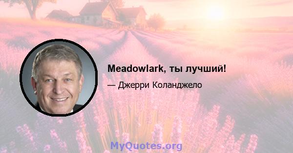 Meadowlark, ты лучший!